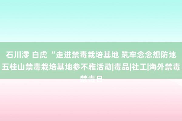 石川澪 白虎 “走进禁毒栽培基地 筑牢念念想防地”五桂山禁毒栽培基地参不雅活动|毒品|社工|海外禁毒日