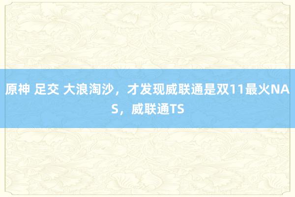 原神 足交 大浪淘沙，才发现威联通是双11最火NAS，威联通TS